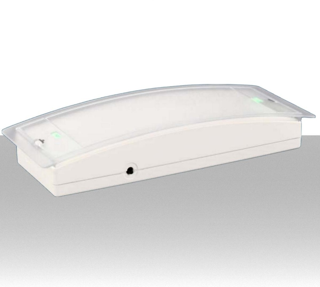 Lampada emergenza LED da 100 lumen configurabile SA/SE protezione IP42 con pittogrammi inclusi