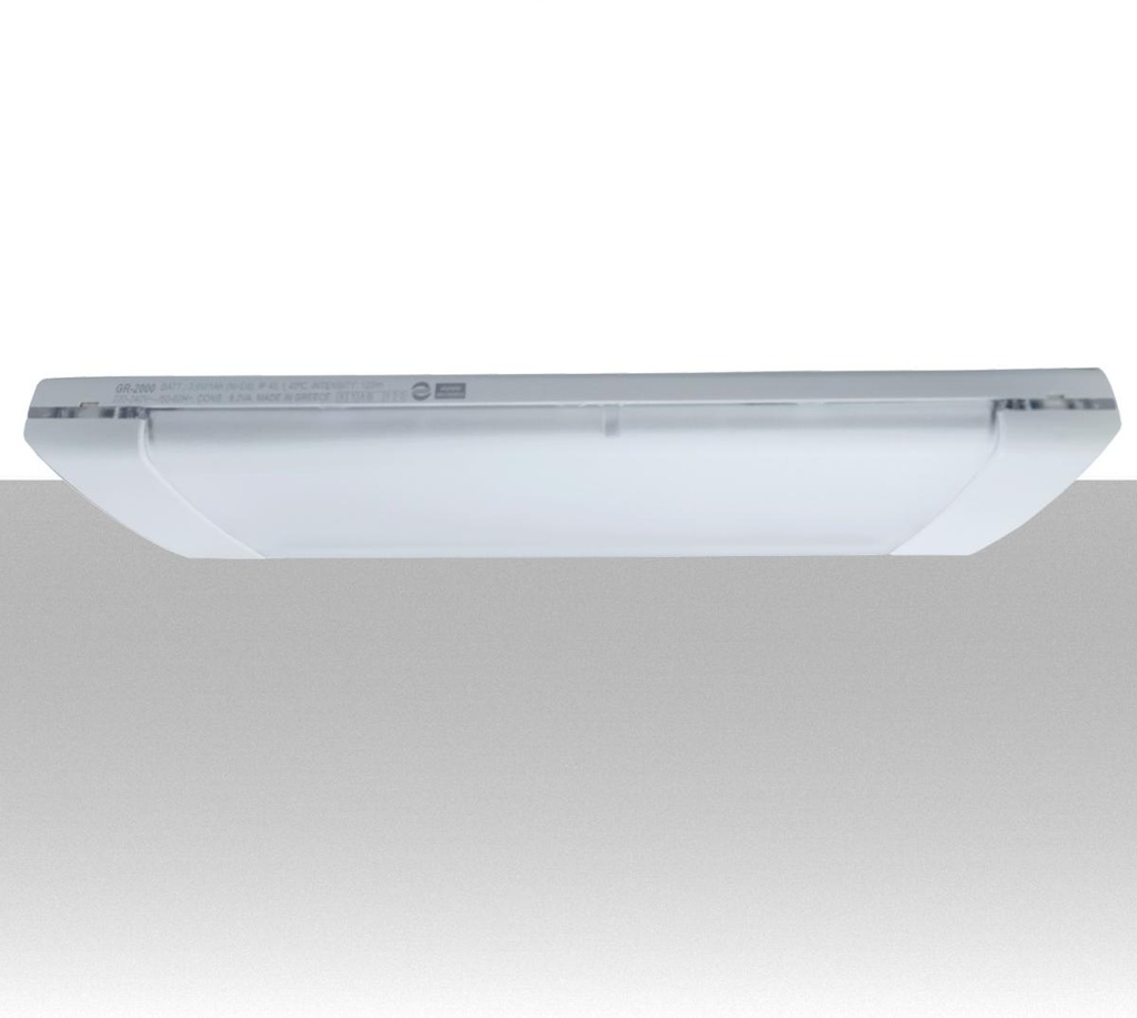 Lampada emergenza LED slim da 125 lumen configurabile SA/SE protezione IP40 con pittogrammi inclusi