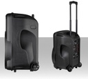 Cassa audio portatile Bluetooth da 800W con microfono wireless a batteria disco led trolley