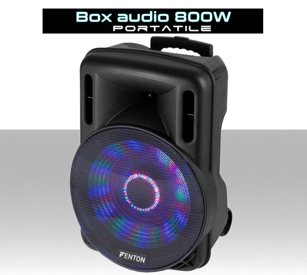 Cassa audio portatile Bluetooth da 800W con microfono wireless a batteria disco led trolley