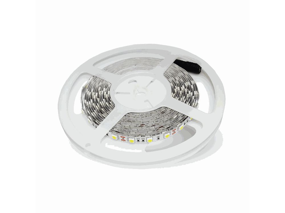 Striscia LED 12V 11W 900 lumen/metro 60 LED/m Bianco Freddo 6500K