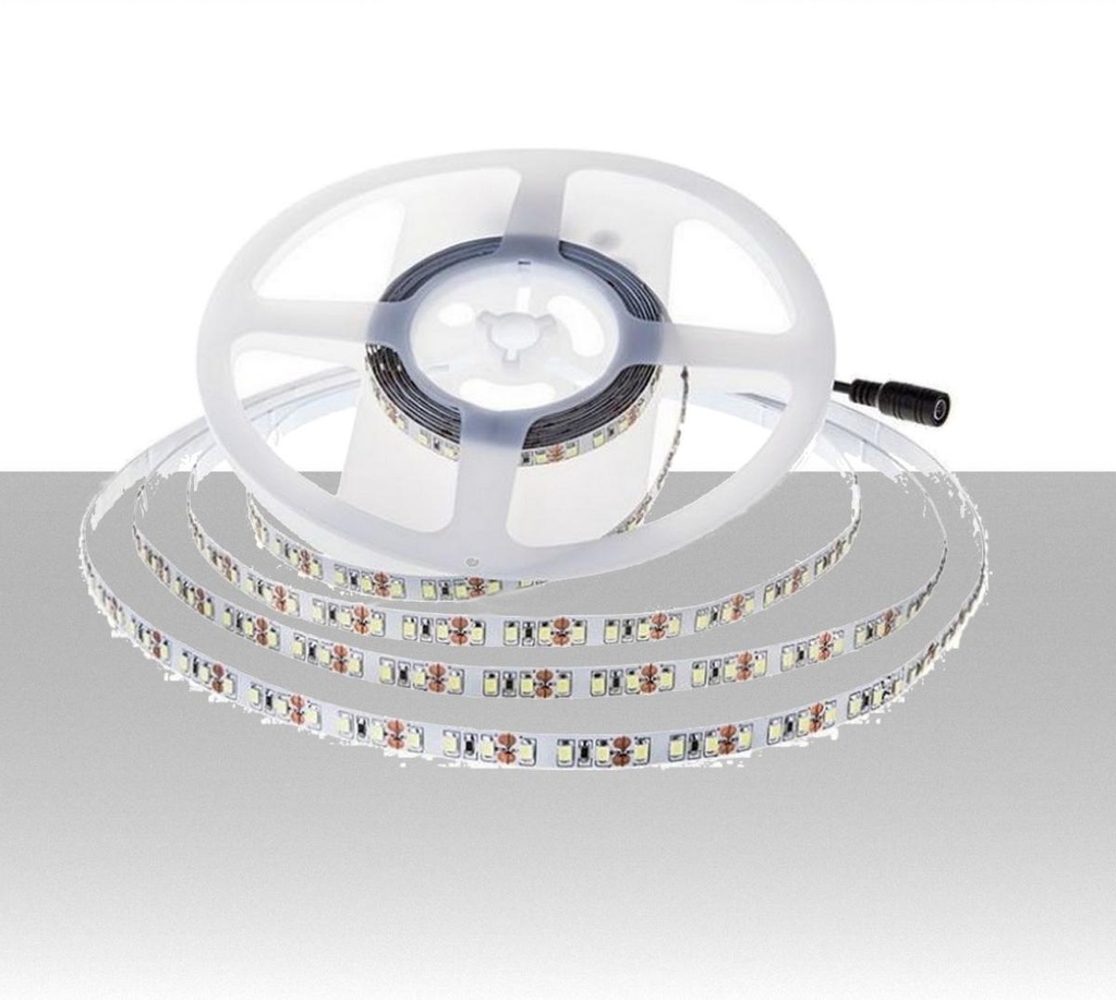 Strip LED SMD2835 11W/m 168 LED/m 150LM/W 24V 4000K IP20 10mm - Rolla da 5 metri - 1650 lumen/metro