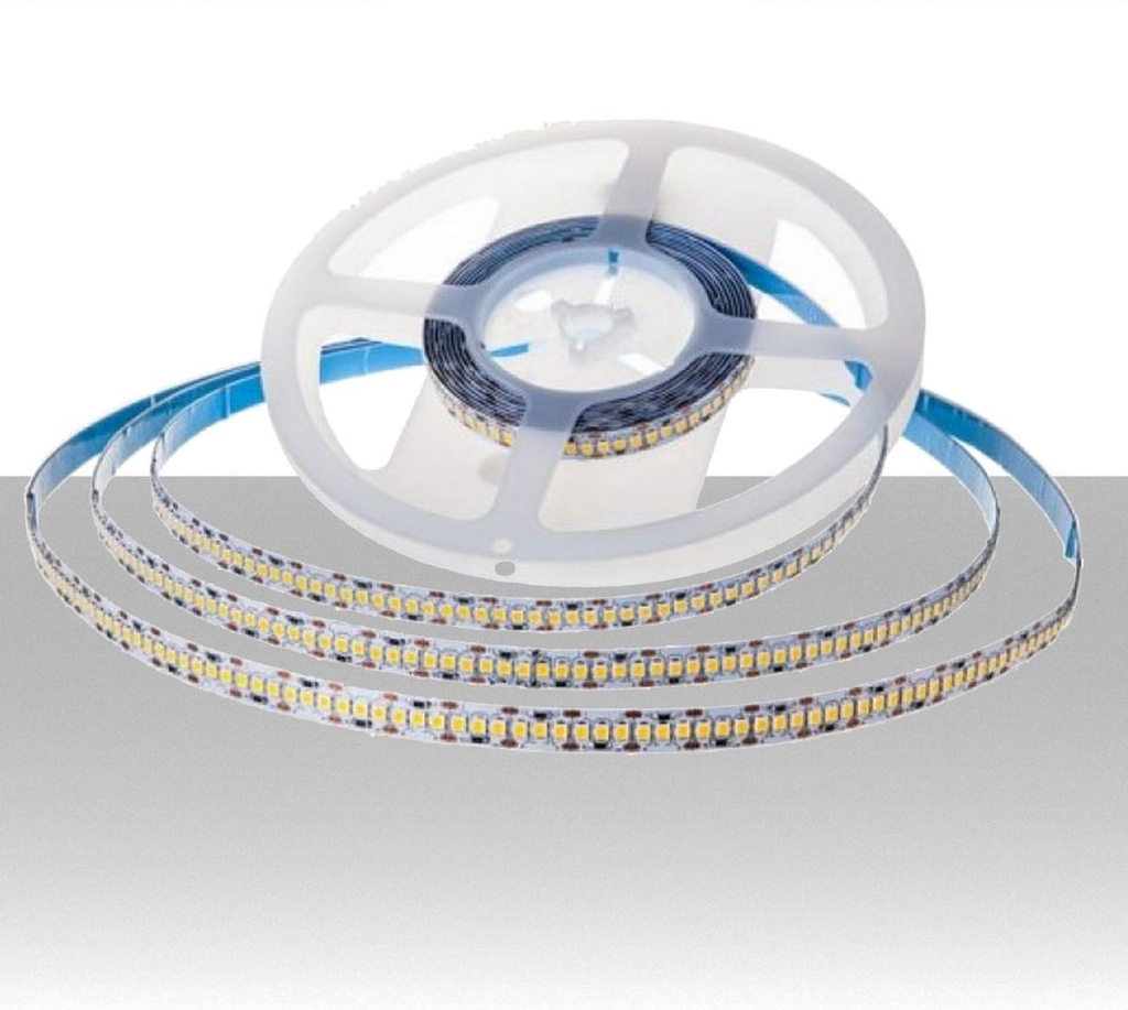 Striscia LED SMD2835 17W/m 5m 238 LED/m 150LM/W 24V 4000K IP20 10mm - Rolla da 5 metri - Lumen: 2550/m