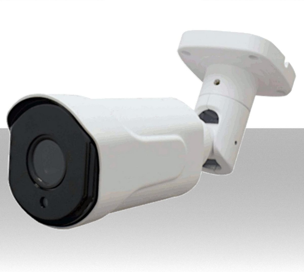 IP camera waterproof 2Mpx 1/3" Varifocal 3:12mm IR 30 metri - In metallo