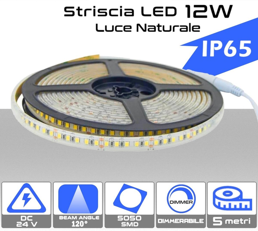 Strip LED 12W Luce naturale 4000K da 5 metri 24V dimmerabile IP65 - 1000 lumen/metro