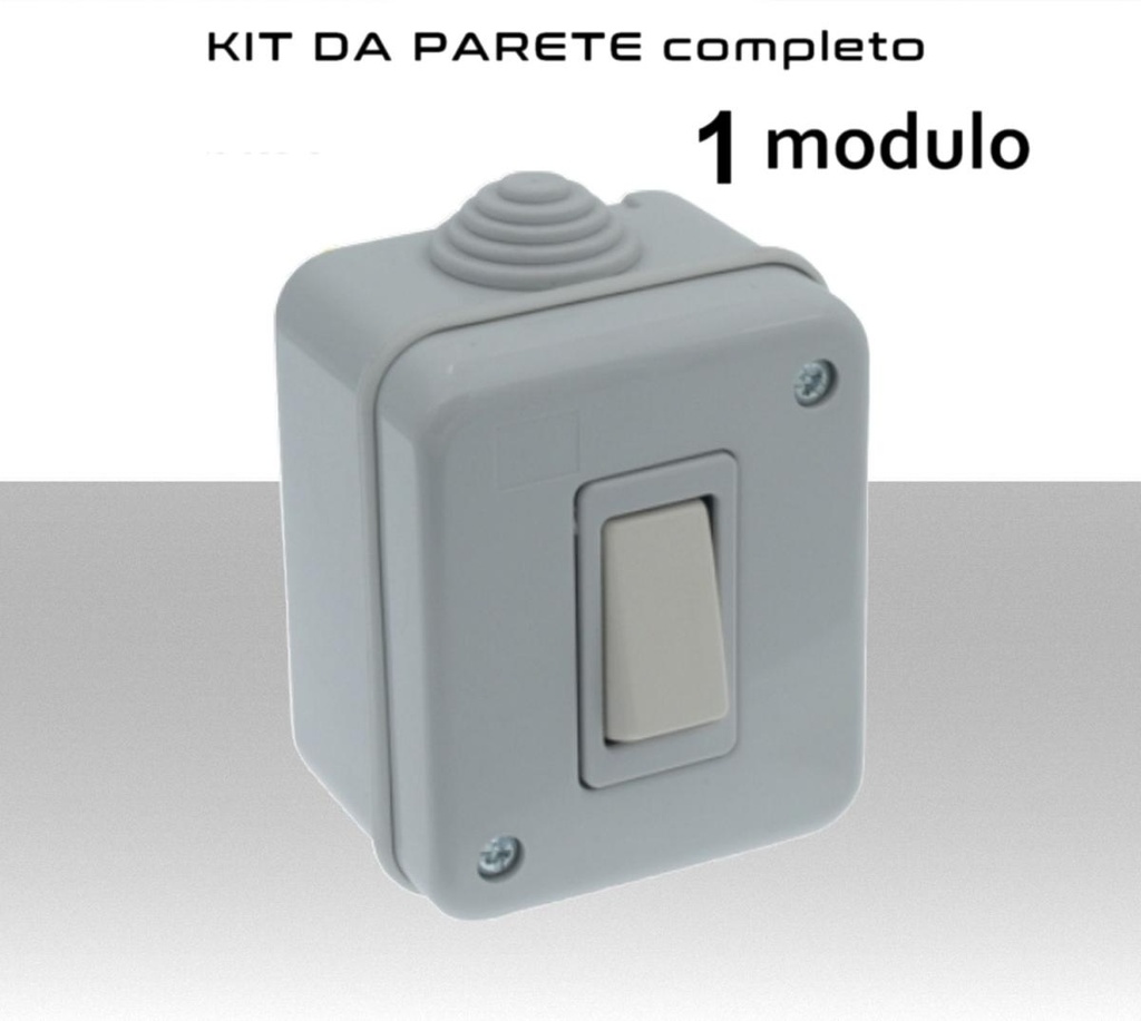 Contenitore completo  1 modulo deviatore 10A  IP40