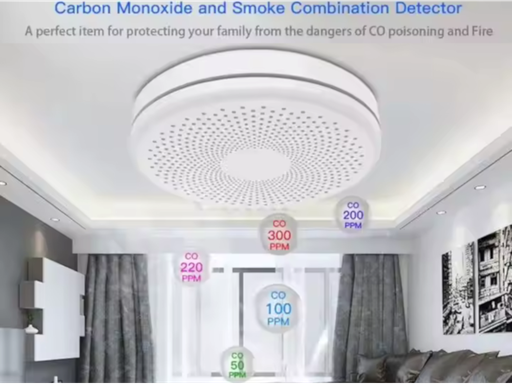 [STWS1D] TUYA - Sensore Rilevatore monossino di carbonio e fumo con Sirena integrata WiFi - Alimentazione 2xAA