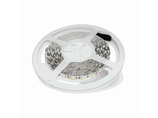 [SKU-212126] Striscia LED 12V 6500K 900 lumen/metro 11W 60 LED/m Bianco Freddo