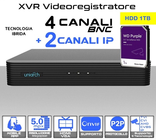 [SA0439] DVR videosorveglianza 4 canali 5 MPX e 2 IP con hard disk 