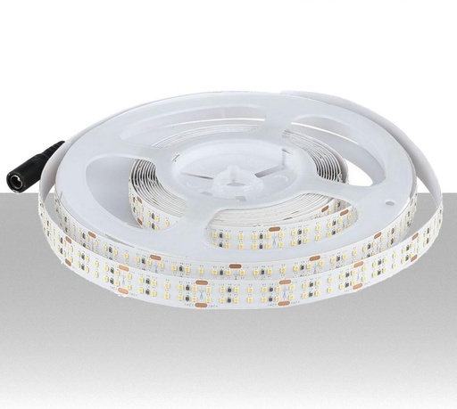 [SKU-2580] Strip LED 24V 3000K 30W/m SMD2216 360 LED/m con Connettore Plug standard 5.5x2.1mm da CRI>95 IP20 14mm - Rolla da 5 metri - 2400 lumen/metro